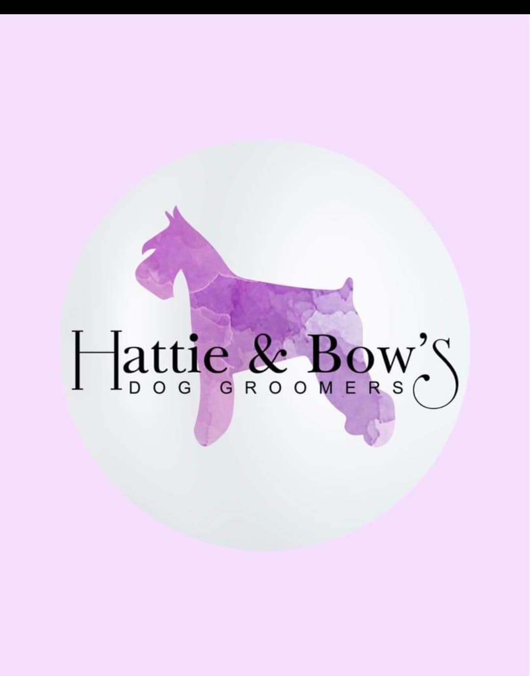 Hattie&Bow's Dog Groomers has arrived in Horwich